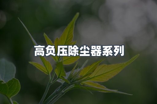 高负压除尘器系列